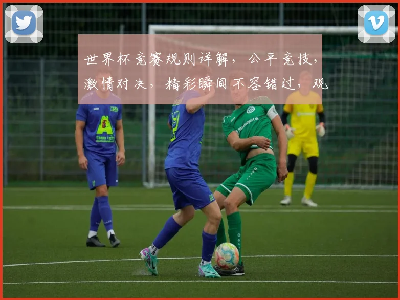 世界杯竞赛规则详解，公平竞技，激情对决，精彩瞬间不容错过，观赛必看