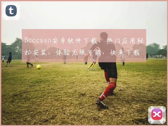 Beccaso安卓软件下载，热门应用轻松安装，体验无限可能，快来下载